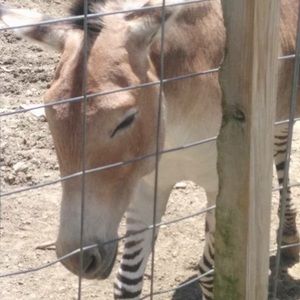 Meet your Posher, Aubrey